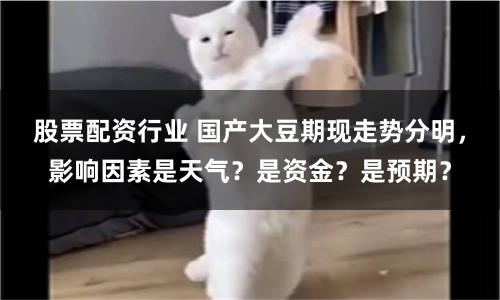 股票配资行业 国产大豆期现走势分明，影响因素是天气？是资金？是预期？