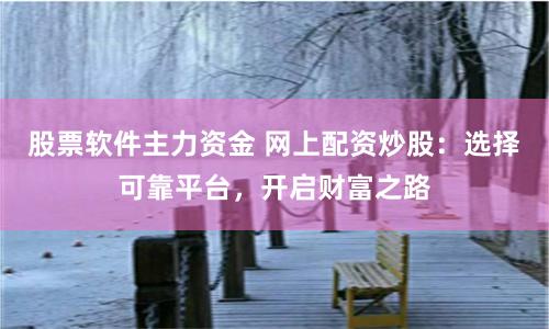 股票软件主力资金 网上配资炒股：选择可靠平台，开启财富之路